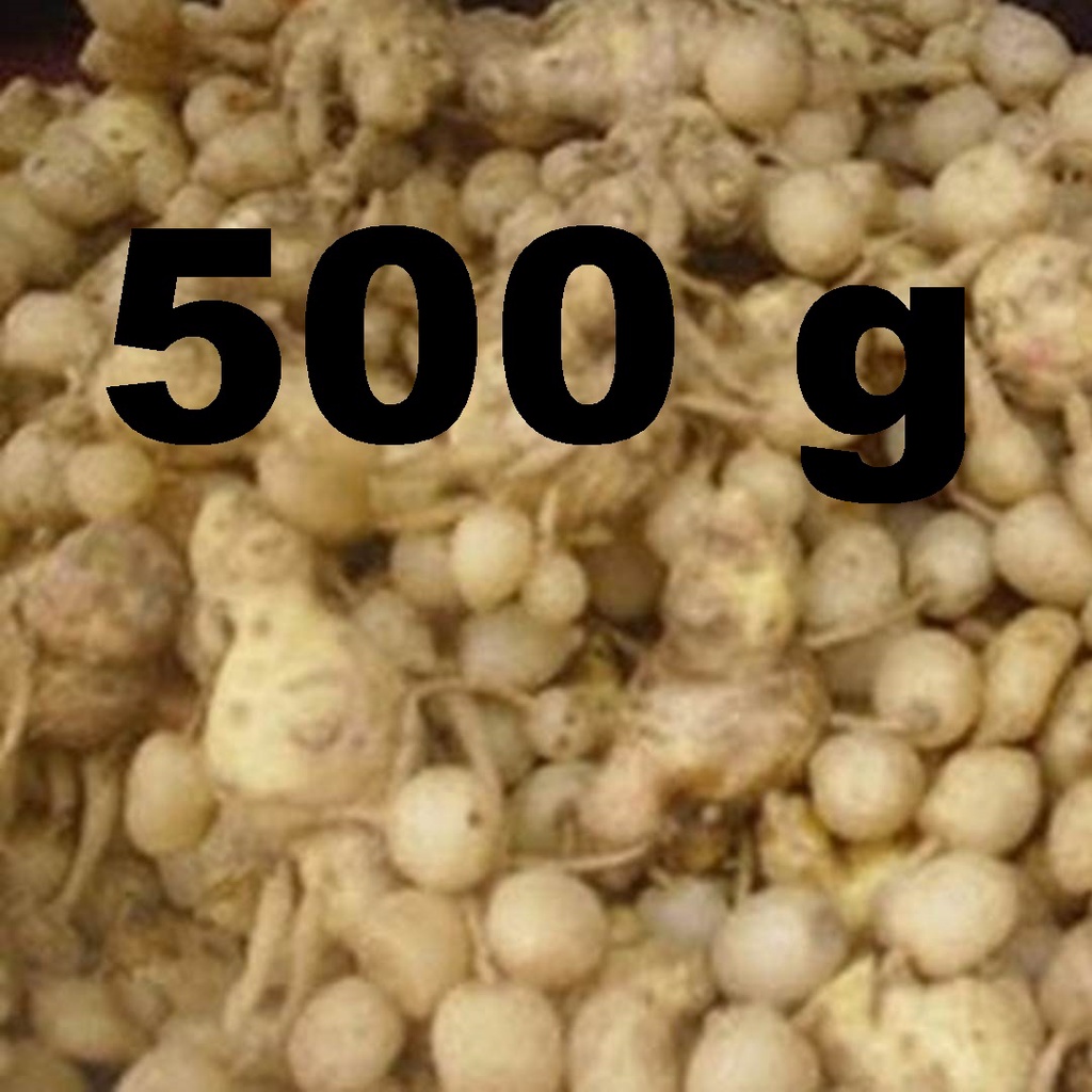 

500 gram Kunyit Putih Segar