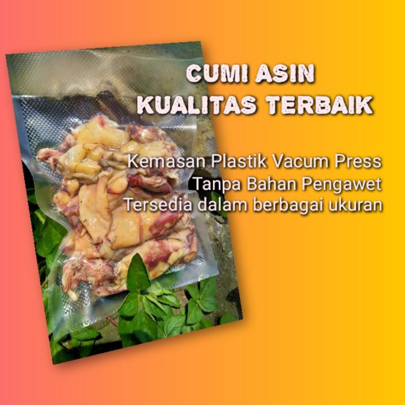 

IKAN ASIN CUMI SOTONG KERING KUALITAS TERBAIK 100gr