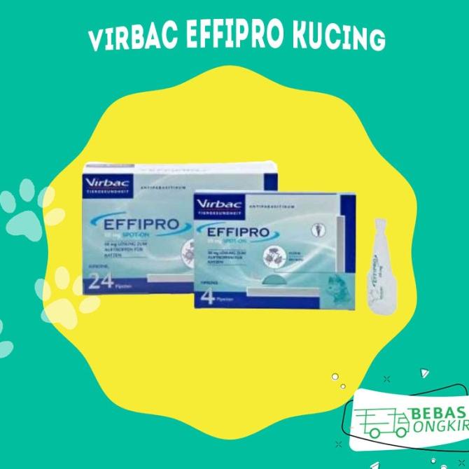 Obat Kutu Kucing - Effipro Cat 50 MG Obat Tetes Kutu Virbac Ampuh