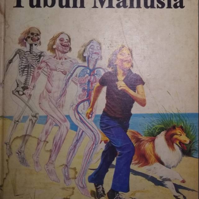 Tubuh Manusia