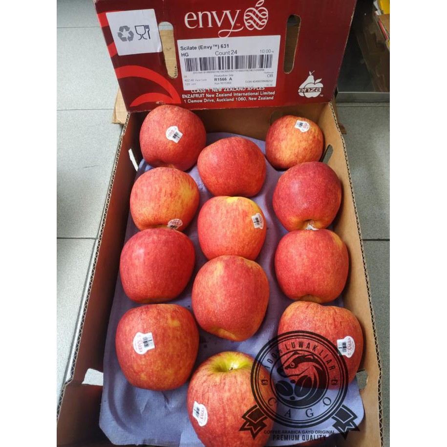 

SAYUR & BUAH APEL ENVY NEW ZEALAND JUMBO HIGH GRADE 1 DUS (10KG) FRESH IMPORT MAKANAN & MINUMAN