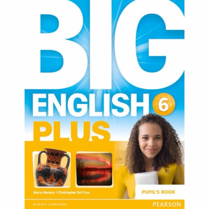 Big English Plus 6 Pearson Book - WORK BOOK