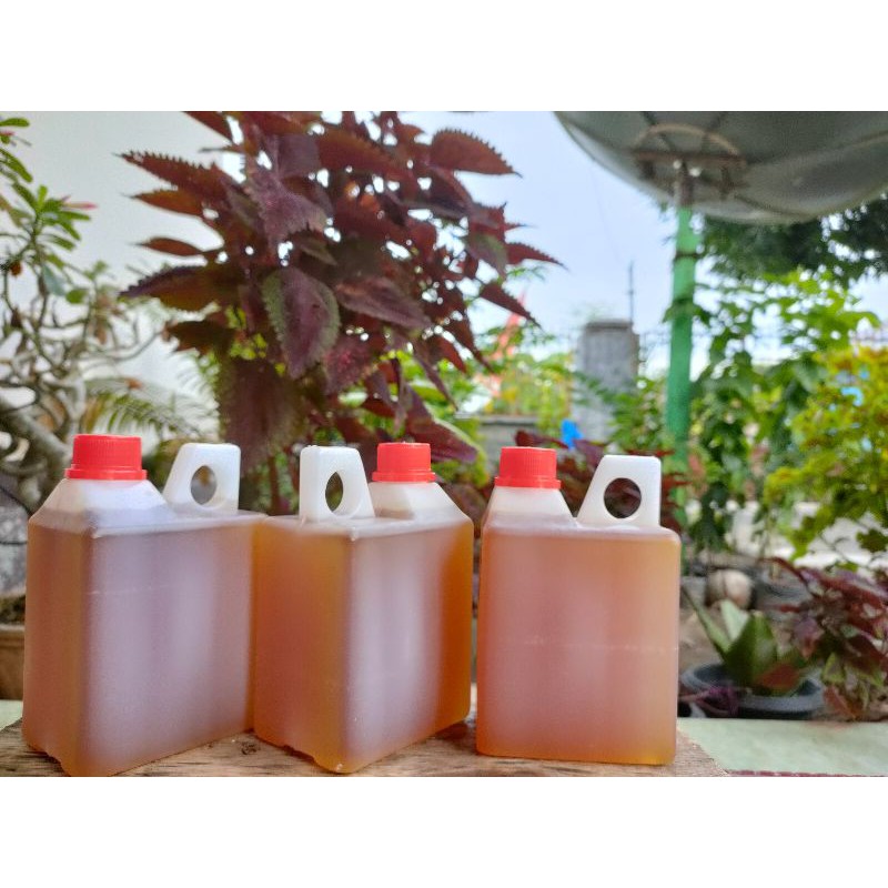 

MADU SUMBAWA ASLI