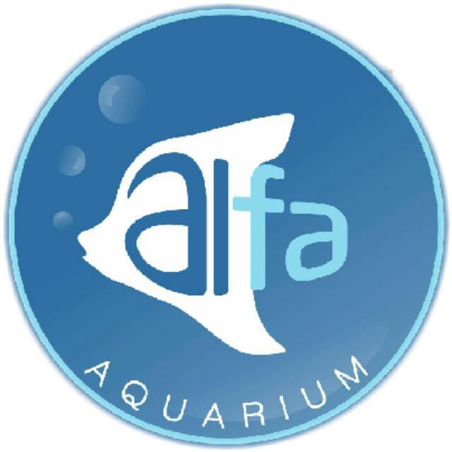 alfa_aquarium