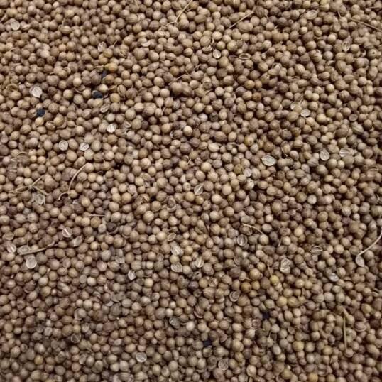 

Original Ketumbar asli alami 1/2 kg ♣