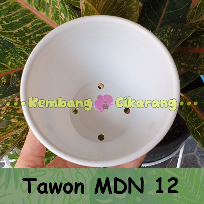 TAWON MDN uk 12 (12cm) pot putih dan warna warni model tawon ukuran 12 pot bunga kecil cantik