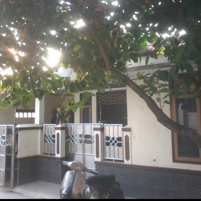 tristan_arya_ii_denden