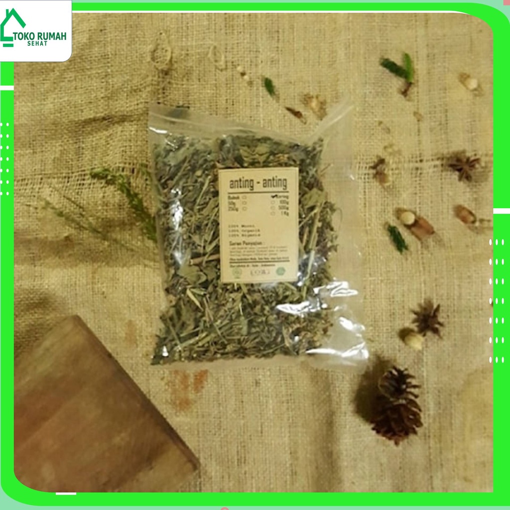 

TANAMAN ANTING ANTING KERING 500 gr - Acalypha Australis Linn -