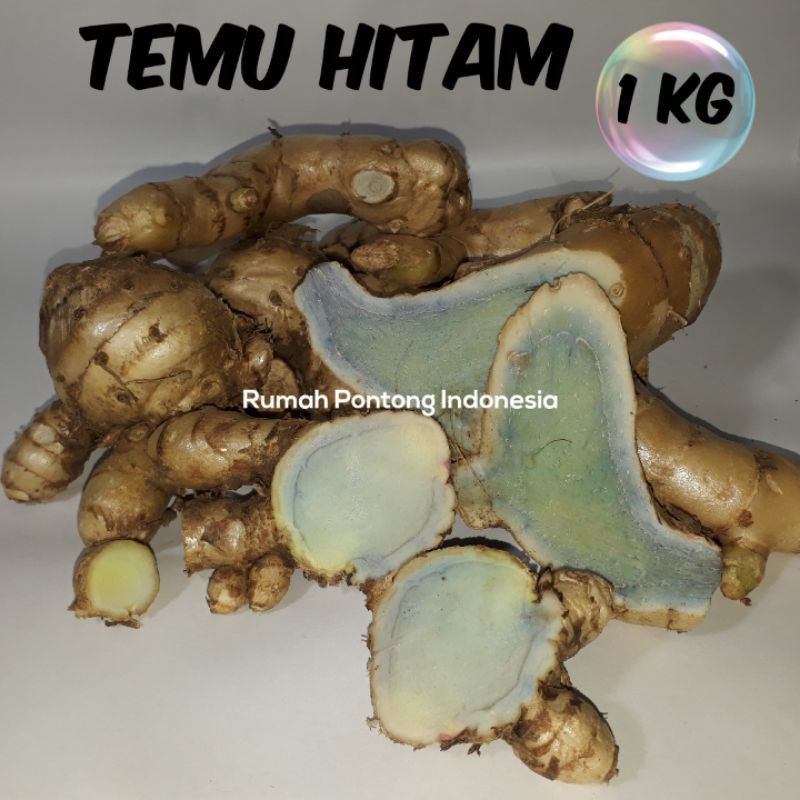

TEMU HITAM / TEMU IRENG