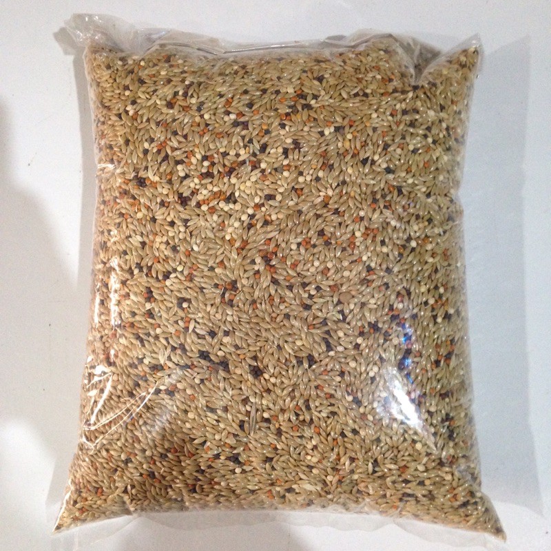 Kenari Seed Campur 1 Kg / Canary Seed