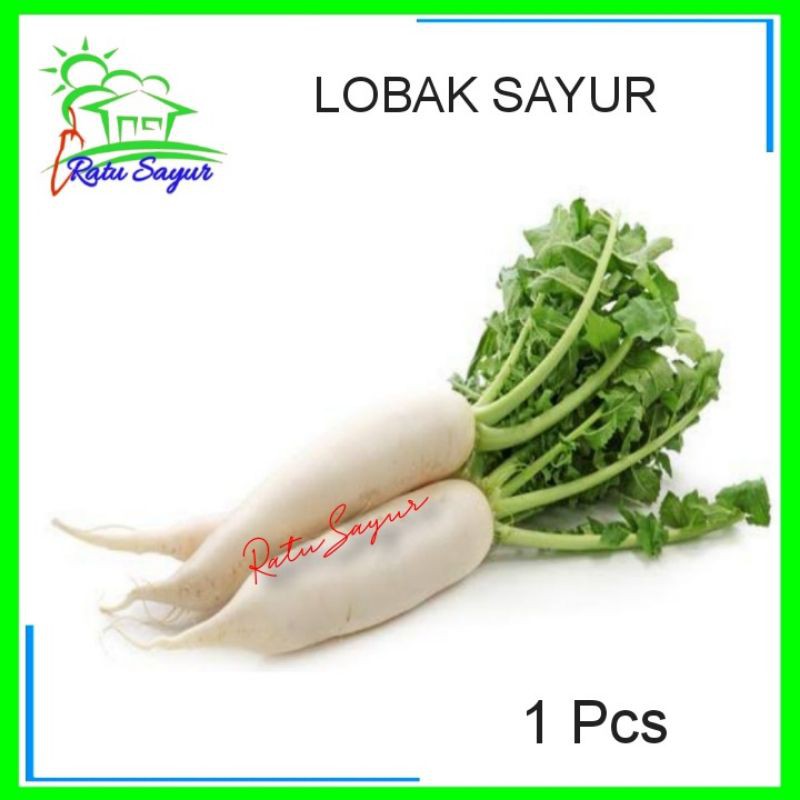 

LOBAK SAYUR/ratusayur.id
