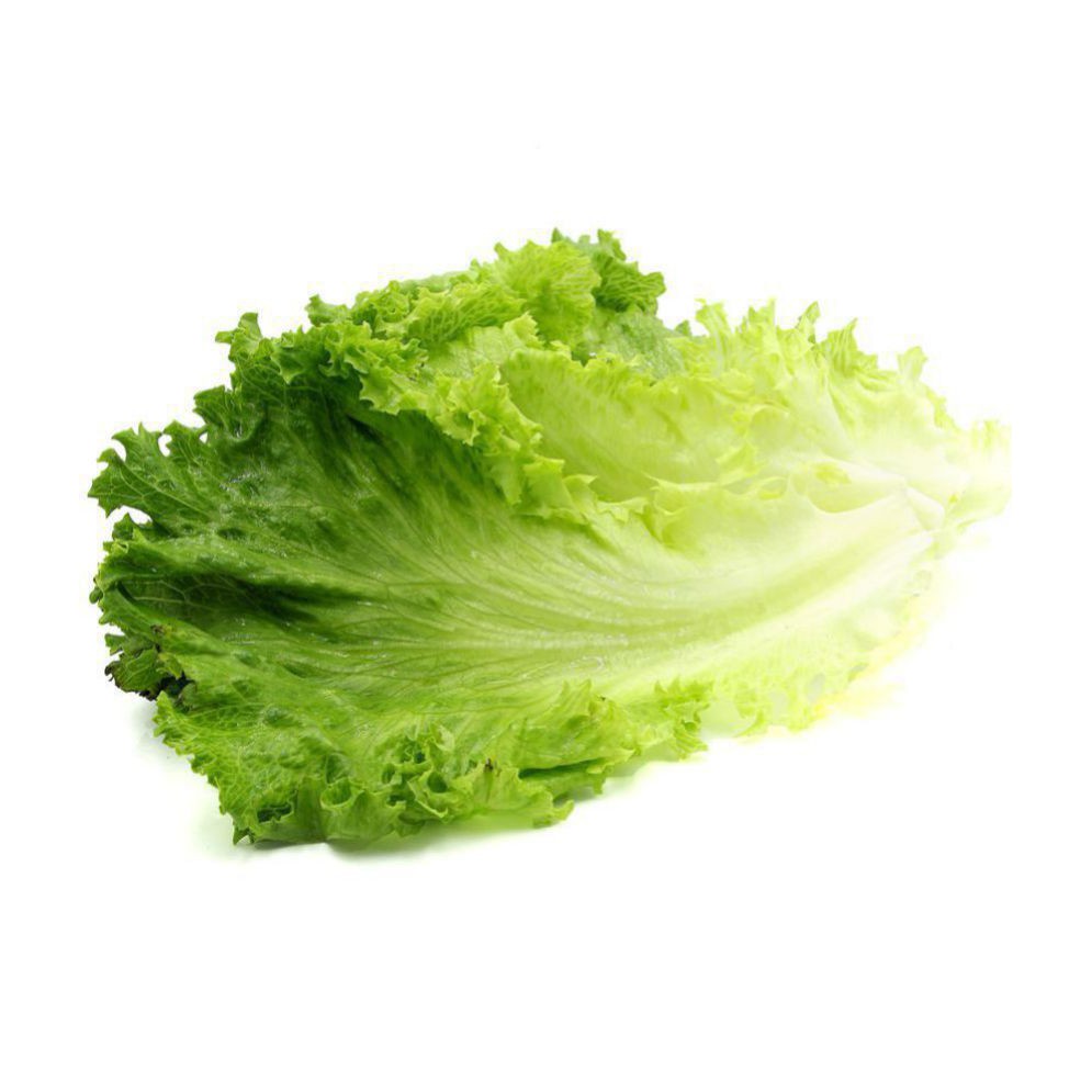 Sayur Selada Lettuce Untuk Kebab Burger Shopee Indonesia