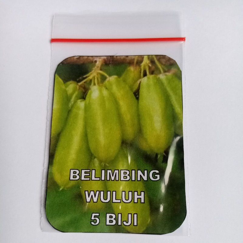 Biji Belimbing Wuluh Benih Belimbing Wuluh Belimbing Asam