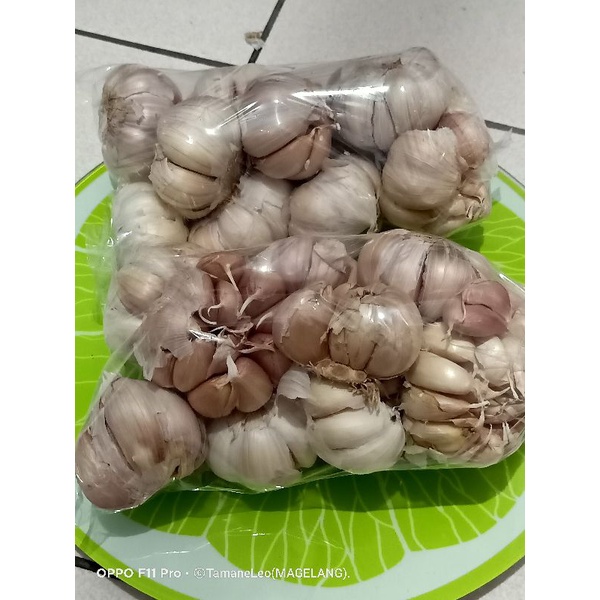 

Bawang Putih