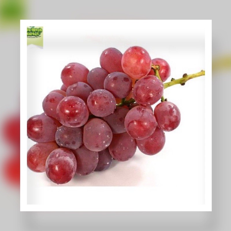 

BUAH ANGGUR MERAH IMPORT PER 500 GRAM Rp 44.990