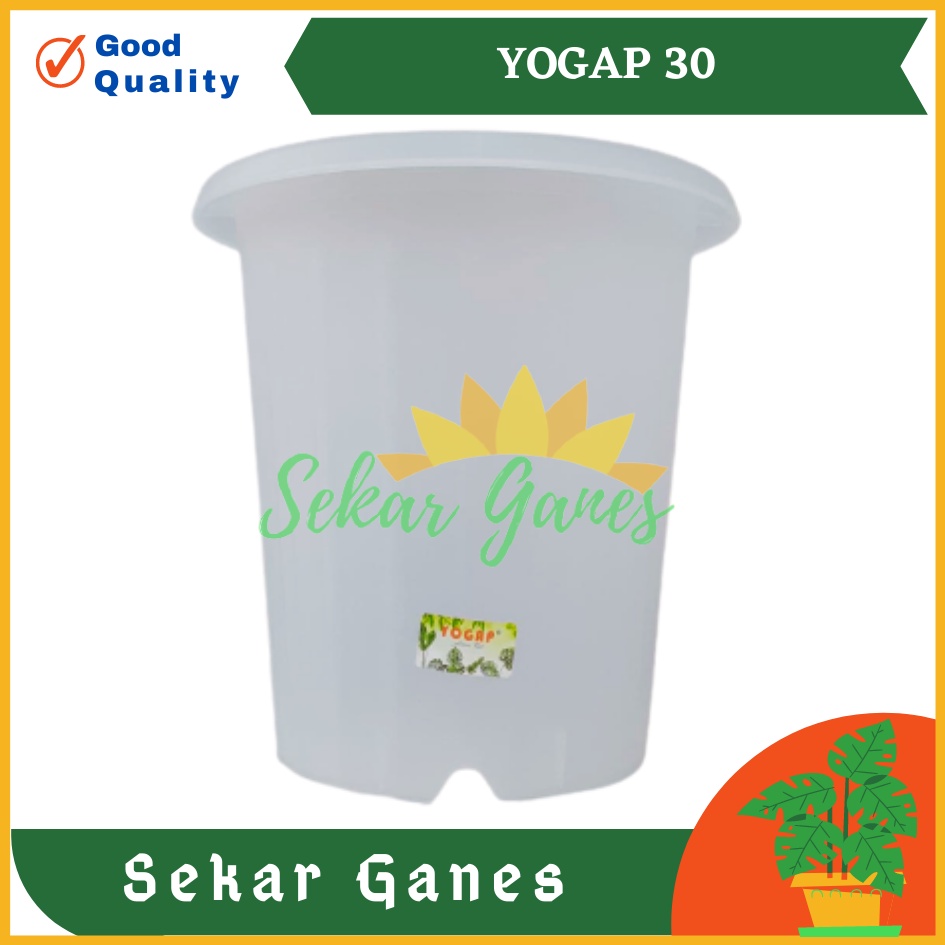 Sekarganes Pot Yogap 30 Putih Transparan Bening Merah Bata Pot Yogap Yoga Uk Mirip Pot Tawon Pirus 27 30 35