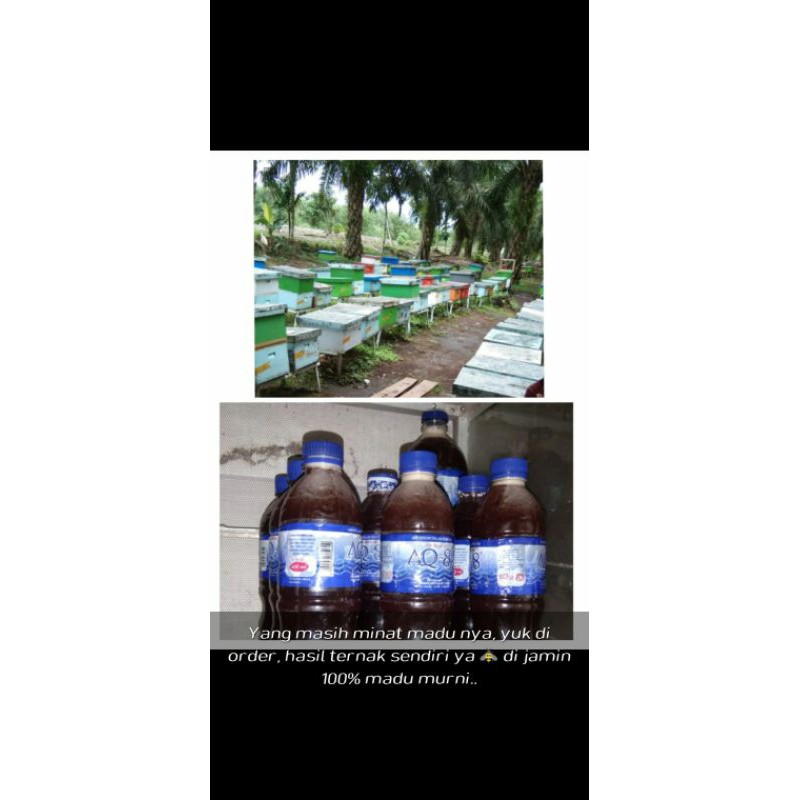 

Madu 100% Asli