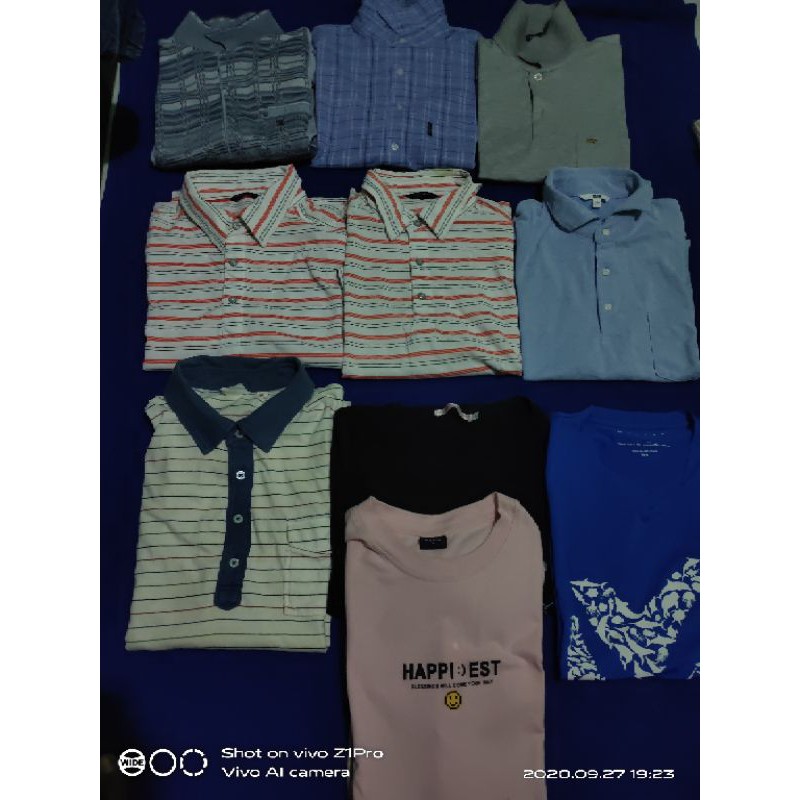 Paket Usaha T-shirt Polo Uniqlo Merel Gold Bear