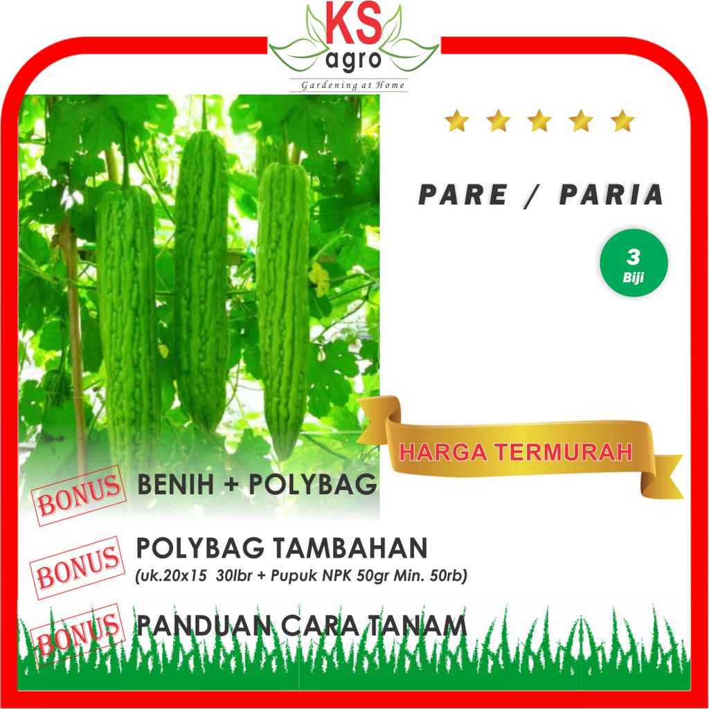 BENIH PARE BIBIT SAYURAN UNGGUL