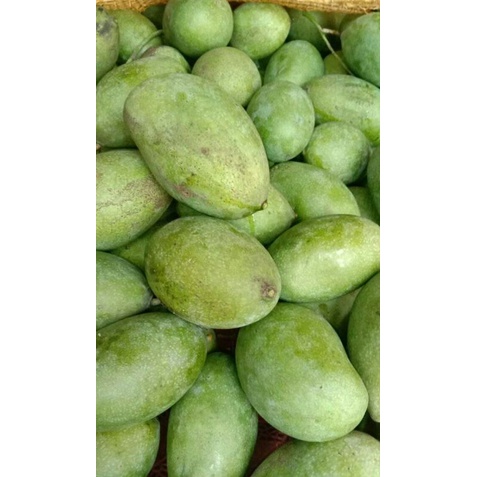 

mangga muda / pencit 1kg