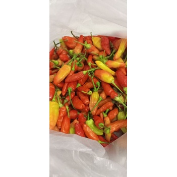 

cabe rawit/cengek domba 1kg freesh