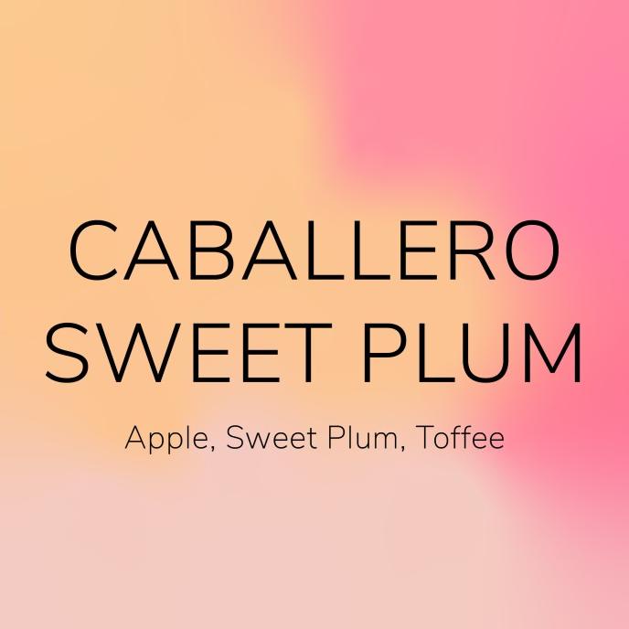 

Caballero Sweet Plum 200g | roasted beans specialty coffee biji kopi