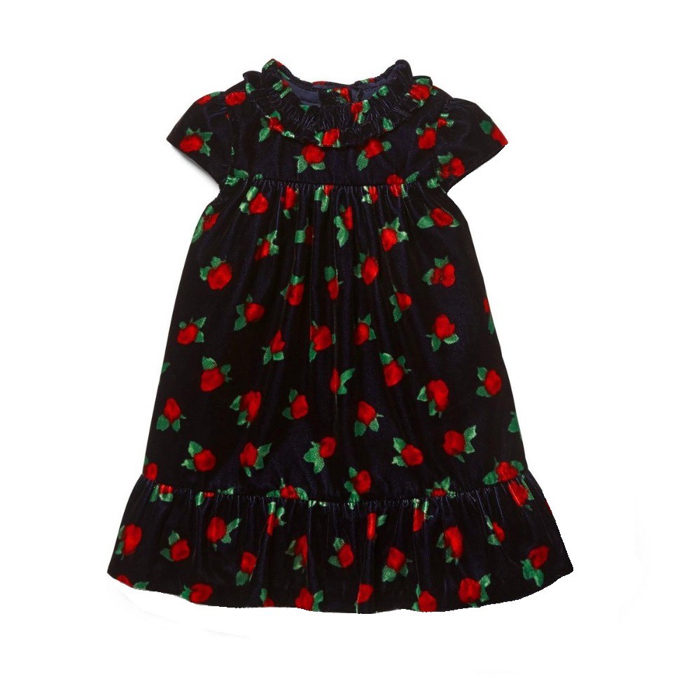 Janie and Jack Baby Dress - Navy Rose Velvet Dress 0-3M