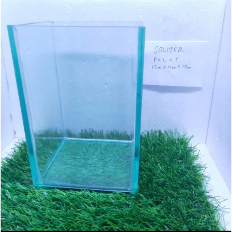 soliter kaca Gupy ikan cupang aquarium kaca asli Bending