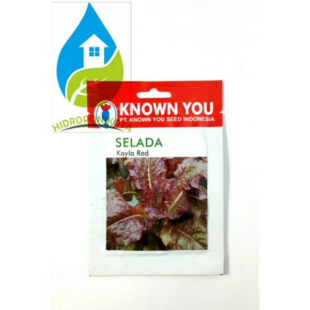 selada kayla red 5gr - selada merah - leaf lettuce