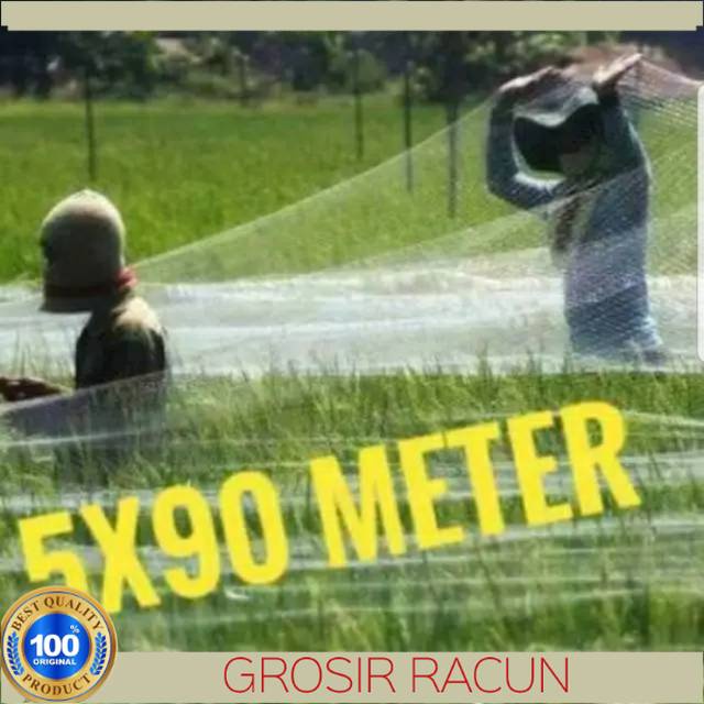 JARING BURUNG PIPIT BURUNG SAWAH WARNA PUTIH DAN HITAM