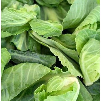 

Bandung Sayur Segar - Keciwis Cuciwis Per 250 g