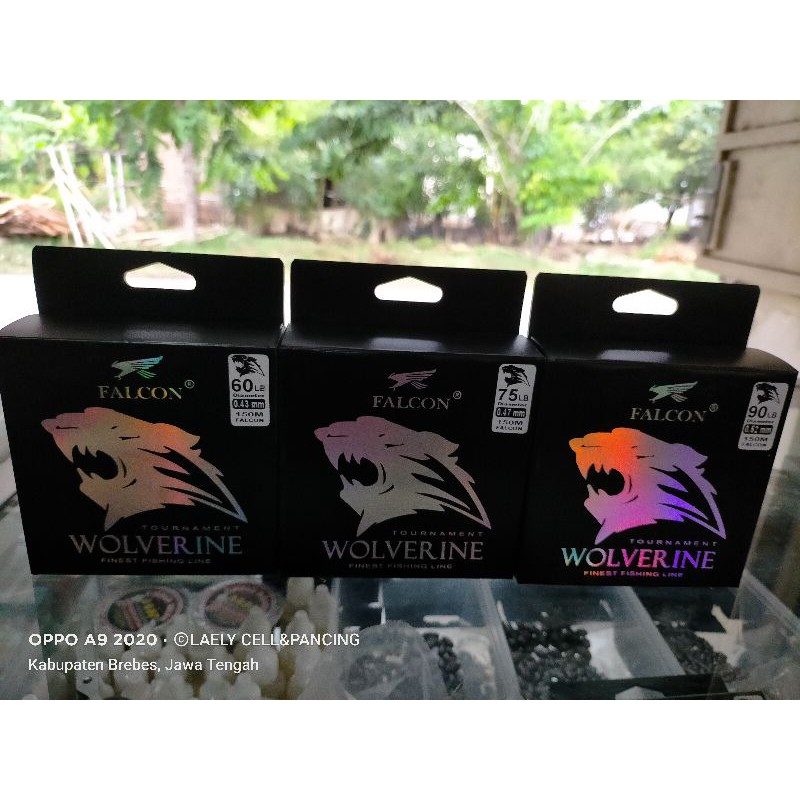 Senar Falcon Wolverine