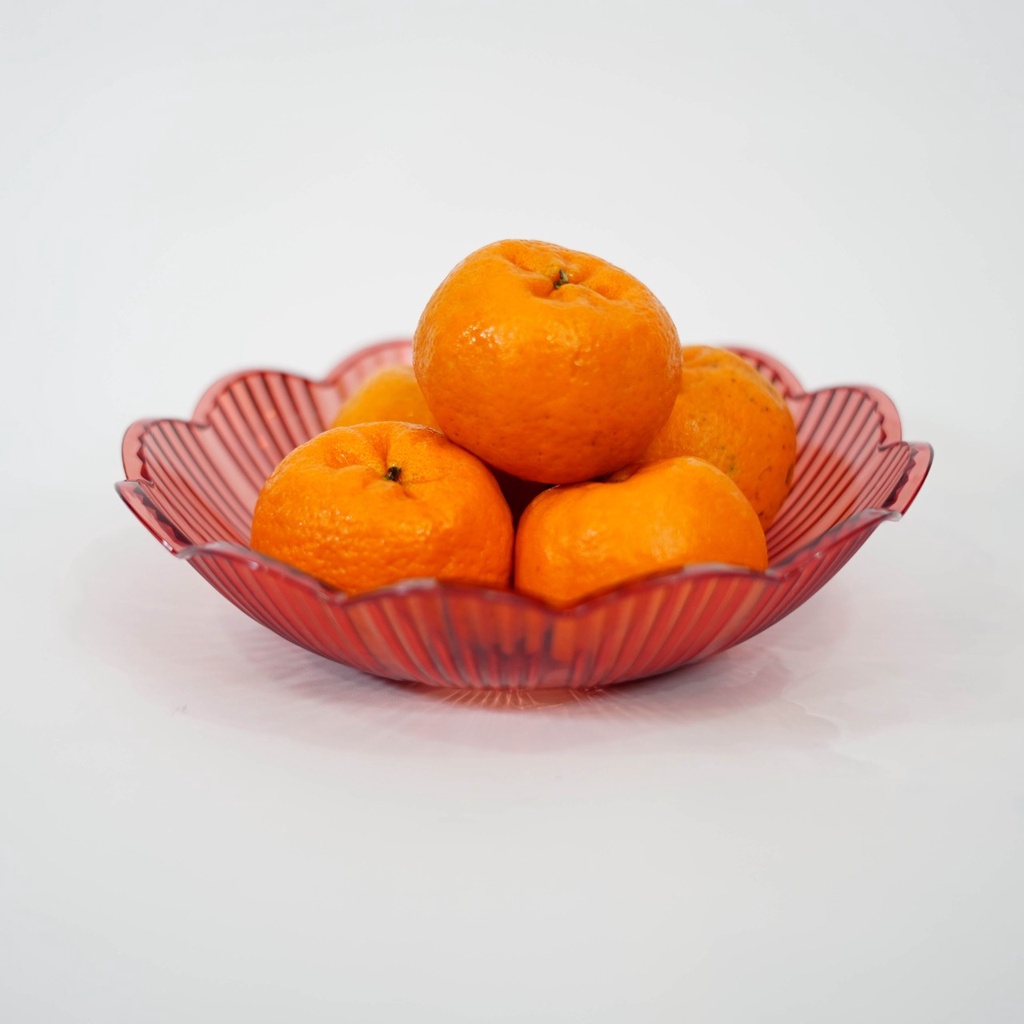 Tempat Buah &amp; Makanan lainnya / Piring Serbaguna / PET Fruit Plate Modern Style / Warna Random