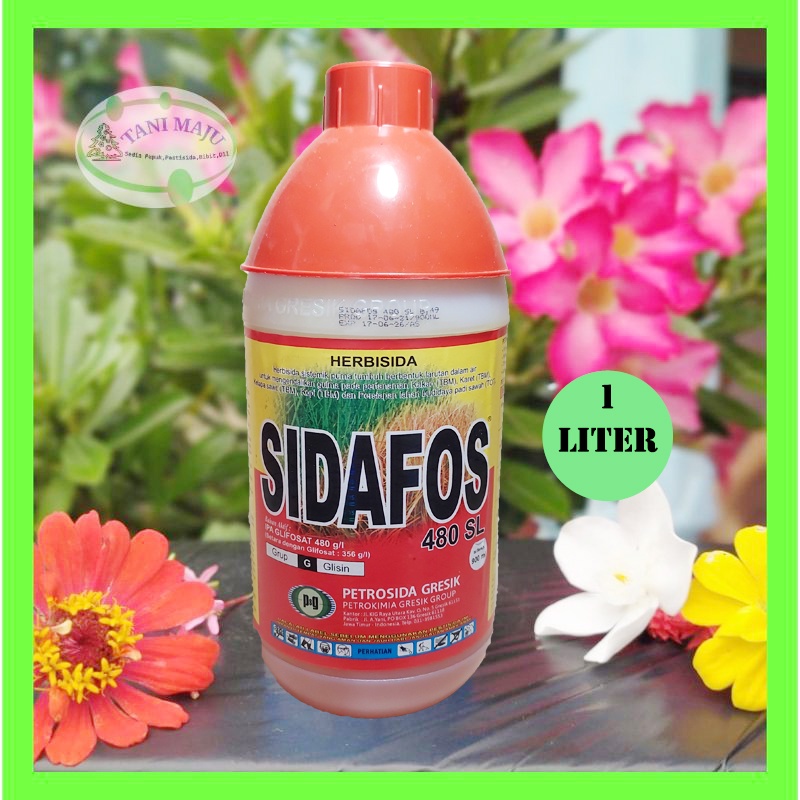 SIDAFOS 480 SL ISI 1 LITER HERBISIDA OBAT ATAU RACUN RUMPUT