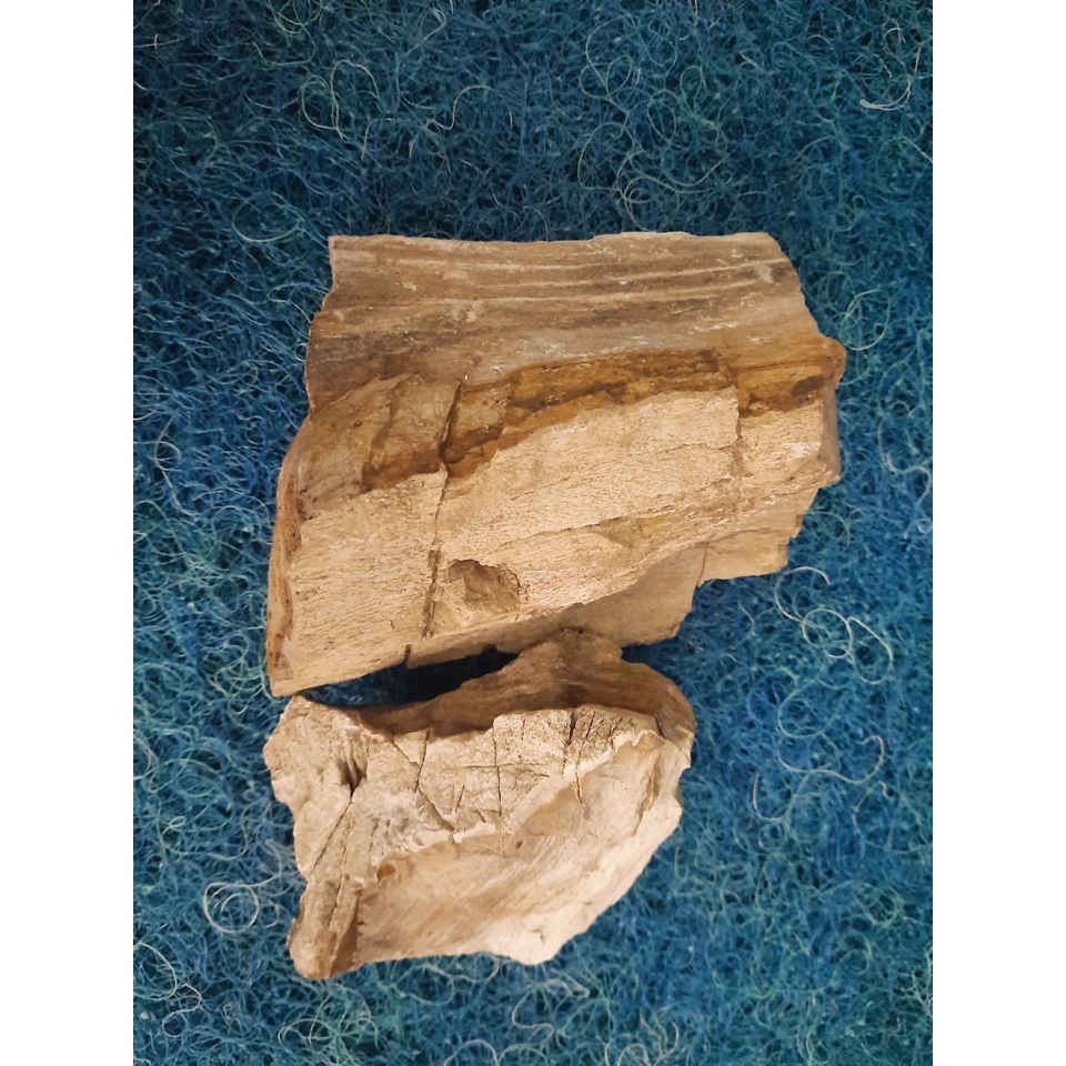 Jual Batu Aquarium Aquascape Batu Fosil Pasir Grade A Kg Sand Stone Shopee Indonesia