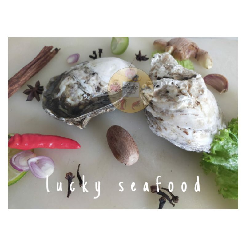 Ongkos kupas dan potong oyster & keong nenek