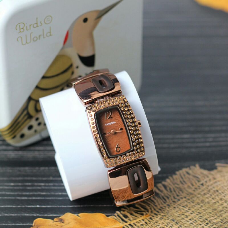 Jam tangan Wanita Fashion Fs tali rantai coklat