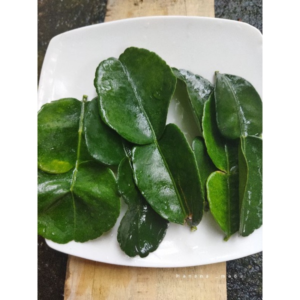 

Daun Jeruk Purut Super Segar dan fres/bumbu dapur 30 gram