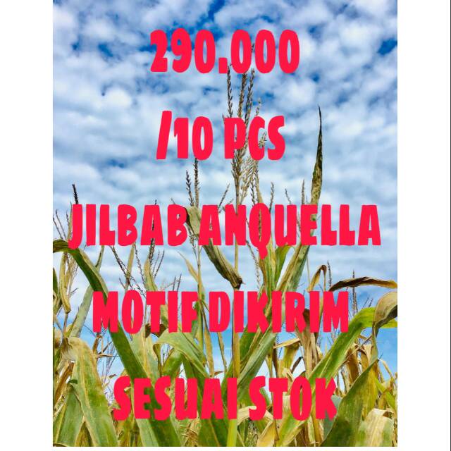 Promo jilbab anqueela