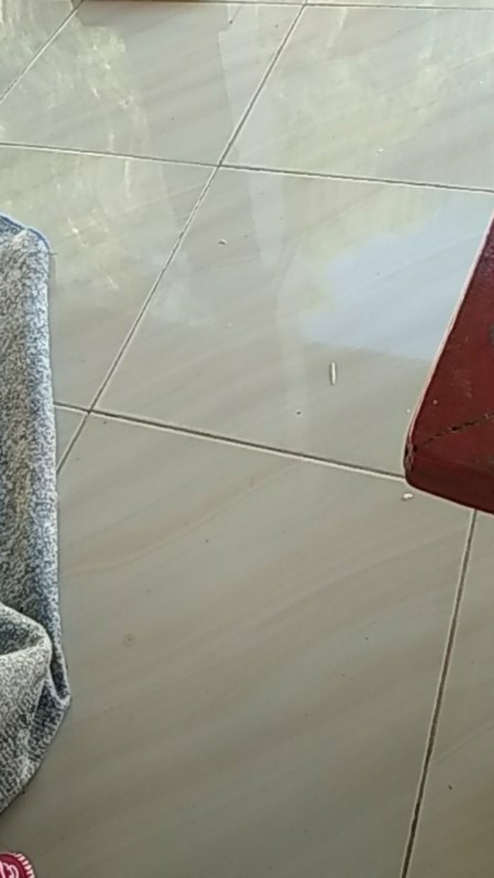 Sunlight Jeruk Nipis Pouch 210ml