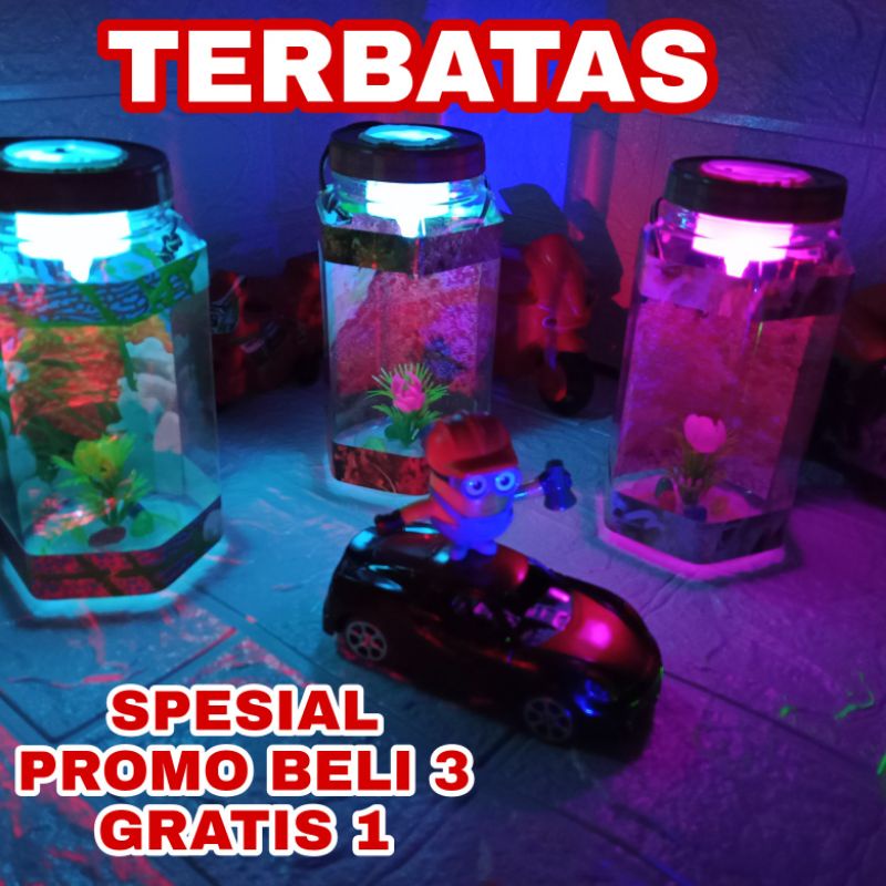 Aquarium Mini Tabung Persegi Enam Ikan Cupang Beli 3 Gratis 1 / Aquarium Hias Full Lampu Unik