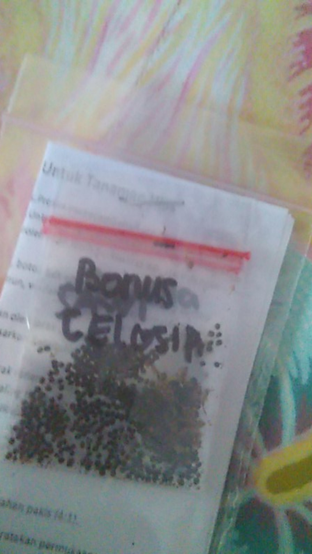 Benih Bibit Tanaman Sawi Manid Unggulan 15 Biji