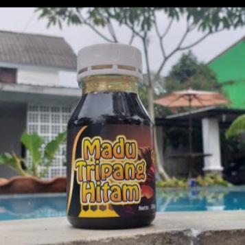 

Madu Tripang Hitam Ampuh mengatasi Maag kronis,ginjal,hipertensi,stroke,Jantung,diabetes,