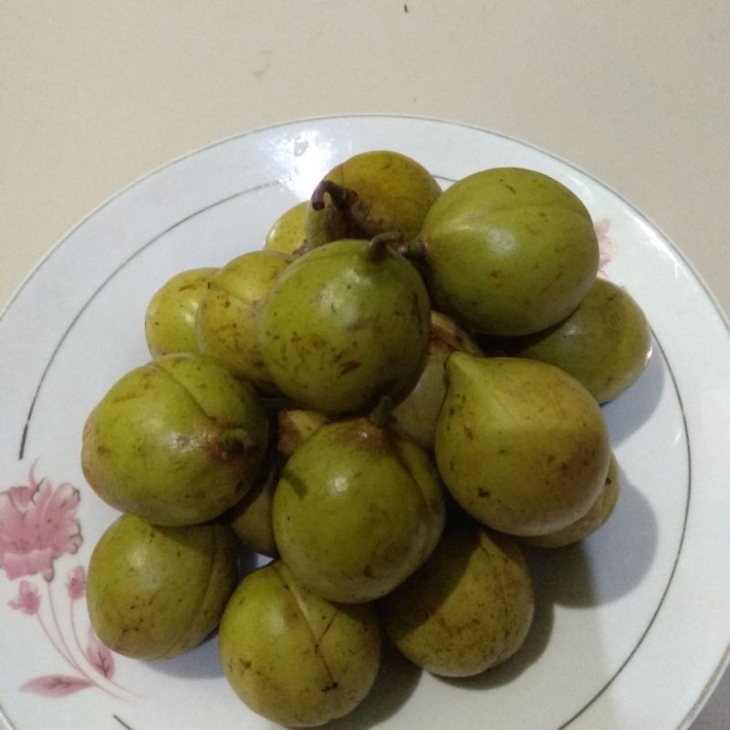 

Buah pala segar