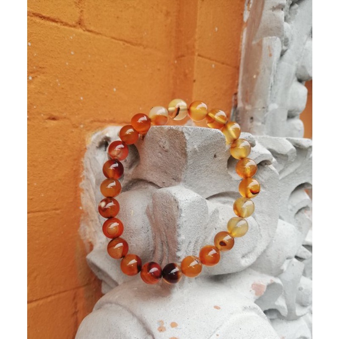 Gelang Sulaiman Madu