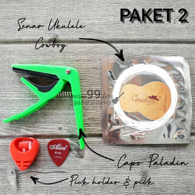 Paket 2 aksesoris ukulele