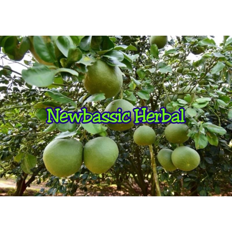 

buah jeruk bali merah fresh 1kg