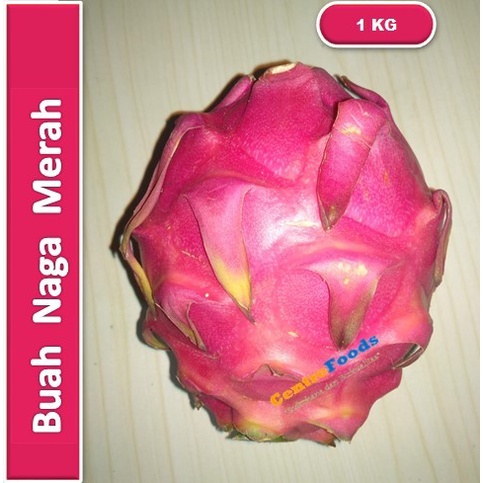 

Buah Naga Merah - Red Dragon Fresh | 1.000gr [ Harga Per KG ]