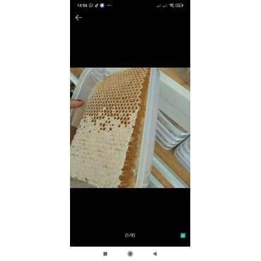 

MADU SARANG 250-500 gr Alami Honeycomb Asli