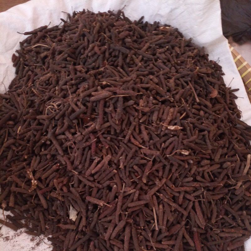 

Cabe Jamu, Cabe Jawa, Cabe Gunung, Cabe puyang, Long Paper.